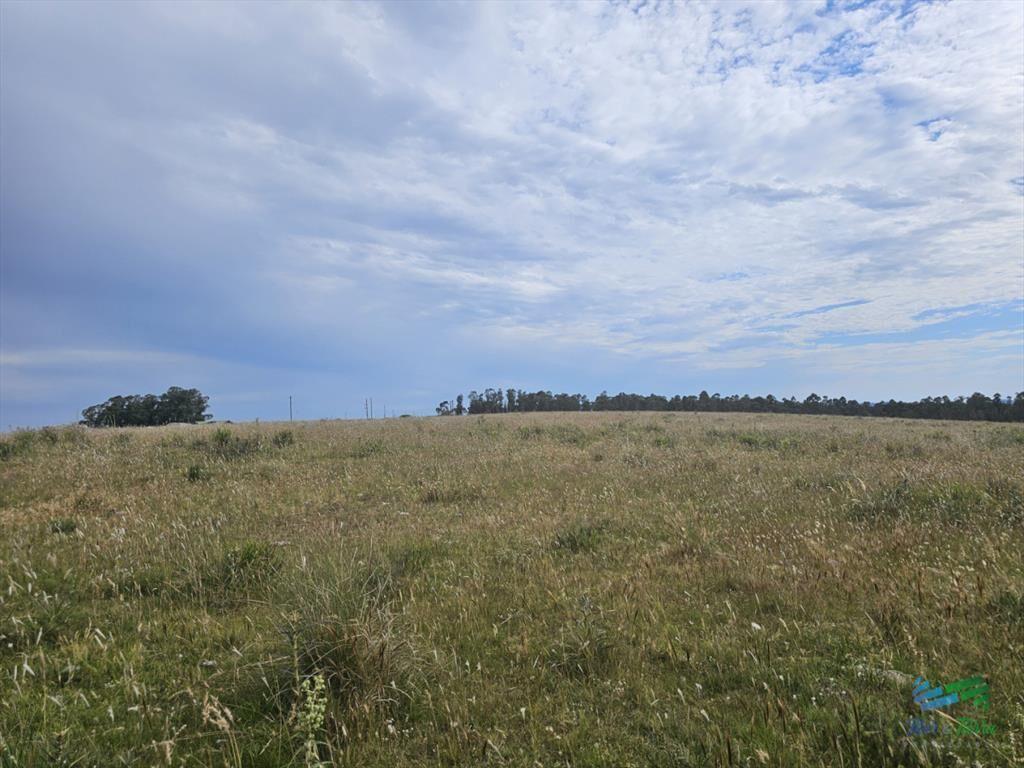 En venta chacra 3 hectareas, proxima ruta 39, a