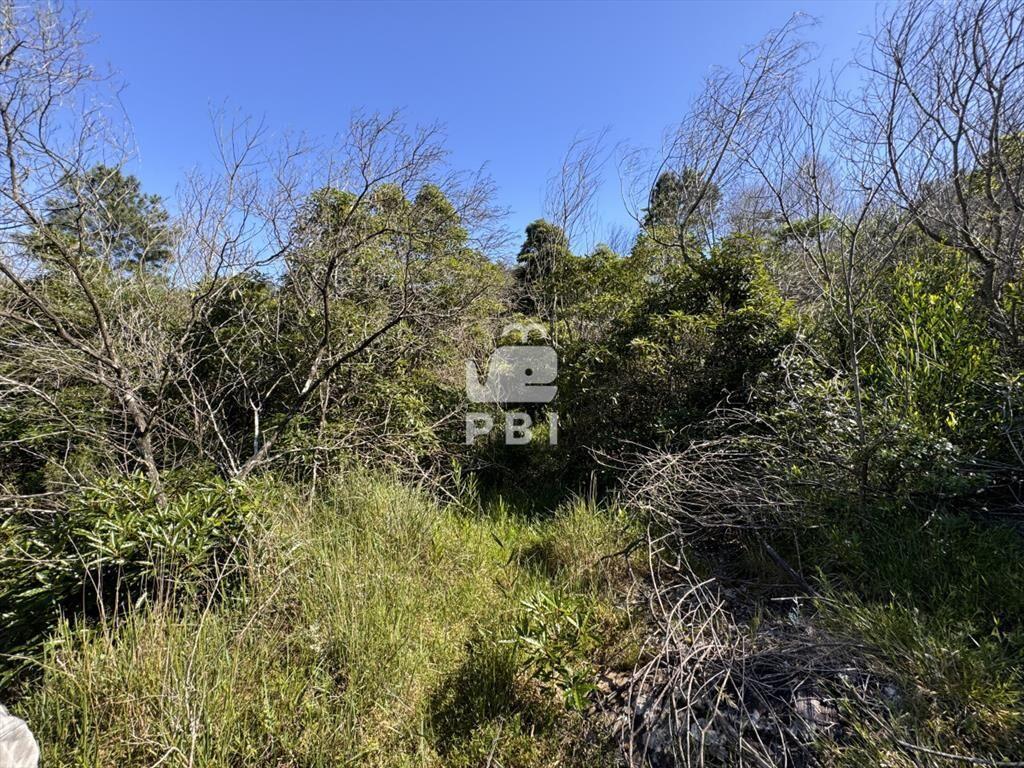 Venta terreno Las Cumbres Punta Ballena Punta del Este - Re