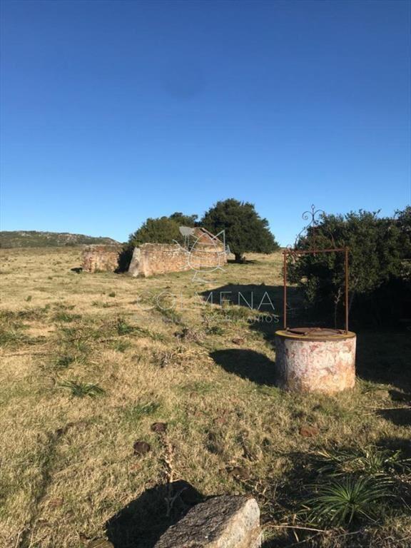 Campo 185 has - Paraje Paso de Dutra