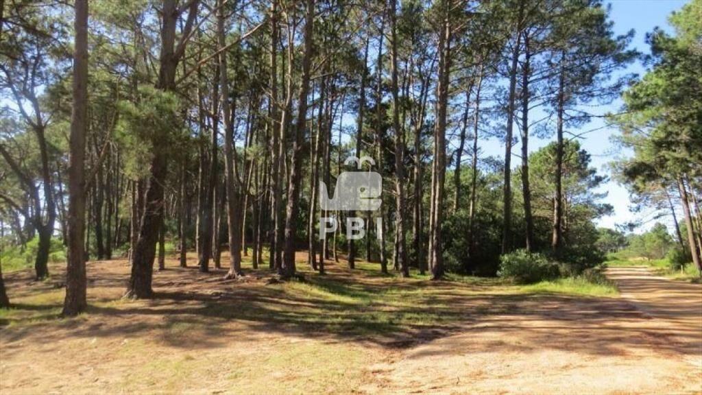 Terreno en venta Chihuahua  - Ref : PBI919