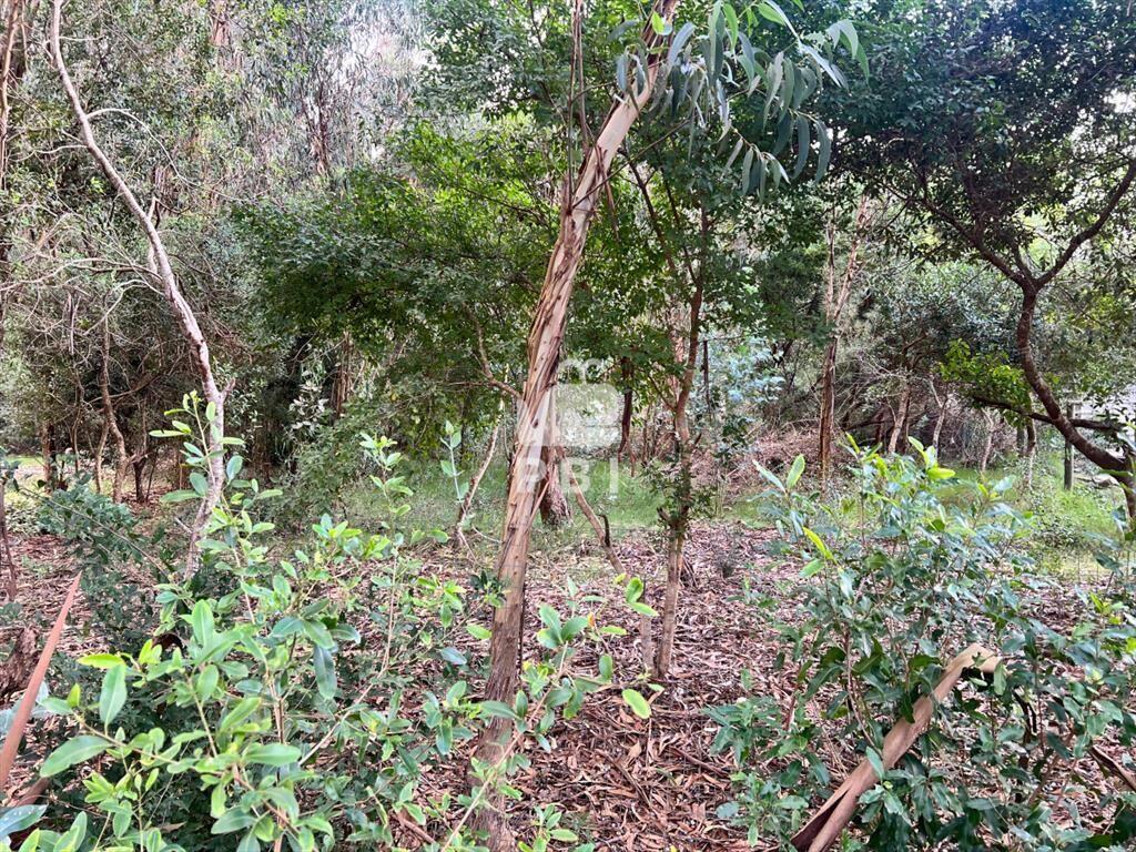 Lote en Punta Negra, Piriápolis - Ref : PBI2699