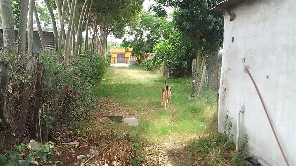 VENTA TERRENO CERRO CON 2 CASAS