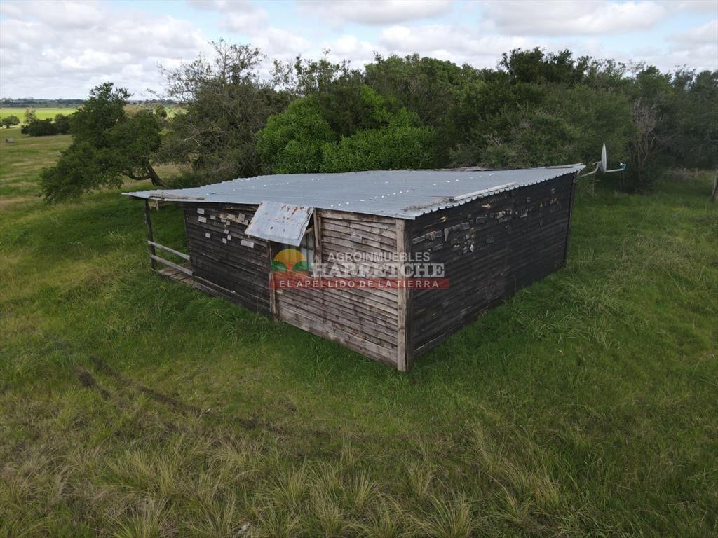Chacra de 5 has en Los Cerrillos, cañada, muy