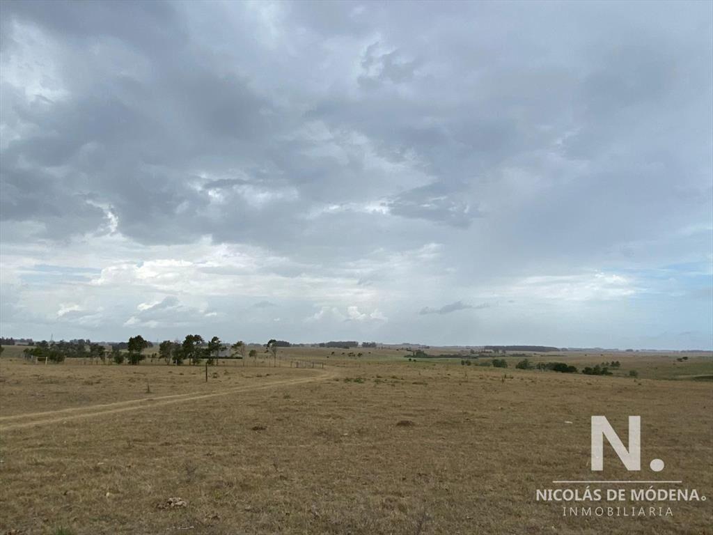 Venta de Chacra en Rincón de José Ignacio, 5 hectareas