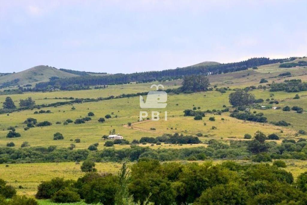 Chacra en venta Pueblo Edén 3 dormitorios - Ref : PBI1052