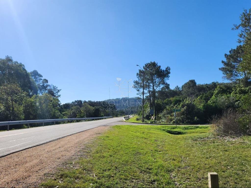 Terreno de 4226 m2, en Las Cumbres- Punta