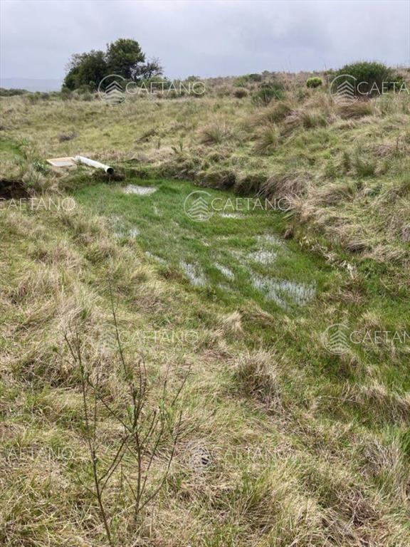 Venta chacra 7 hectáreas, Ruta 39