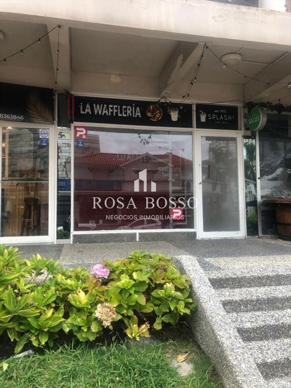 ALQUILER ANUAL LOCAL COMERCIAL PENINSULA
