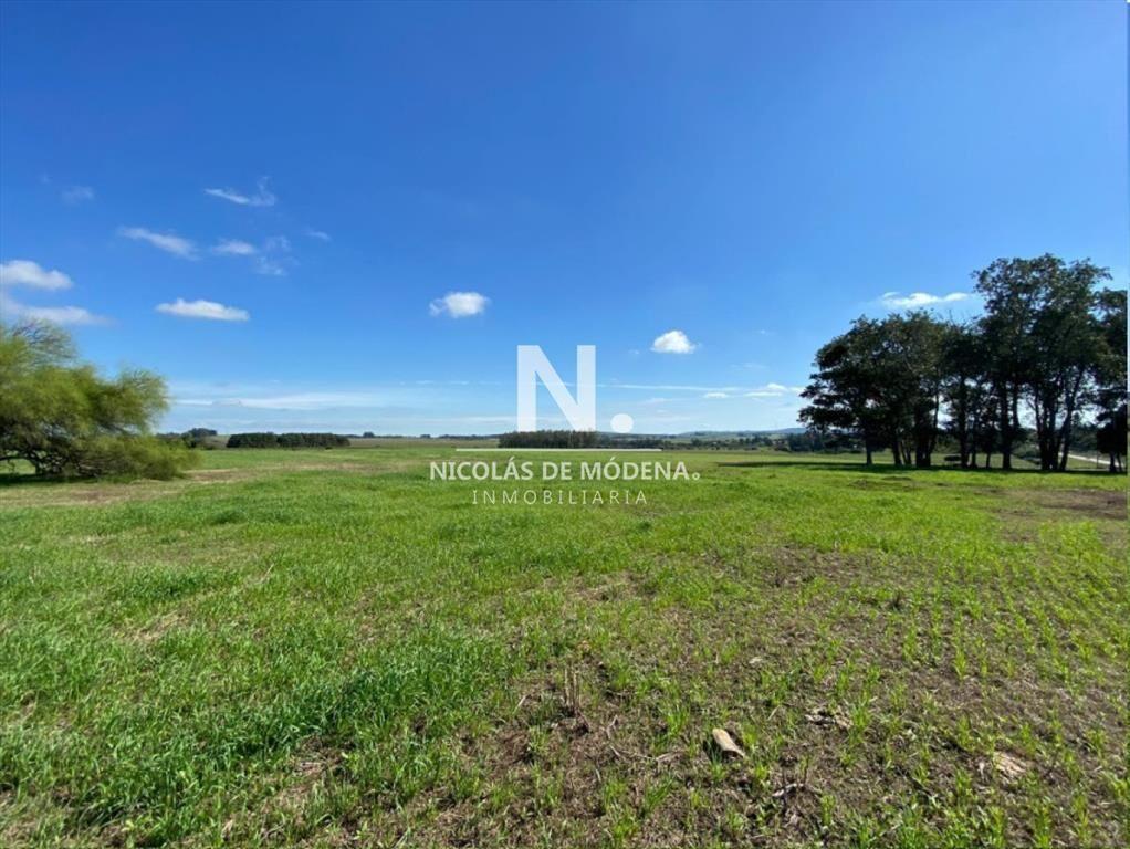 Venta Campo en Maldonado