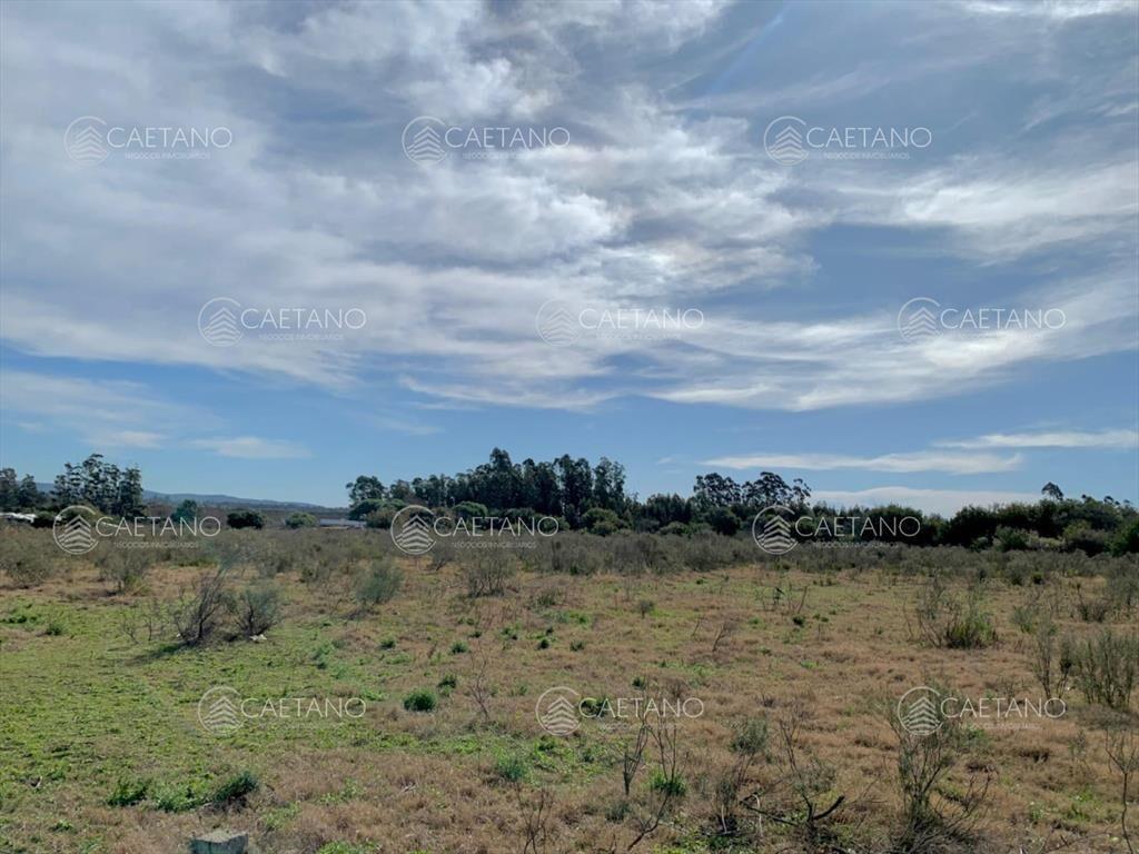 Venta Terreno en Maldonado, San Carlos