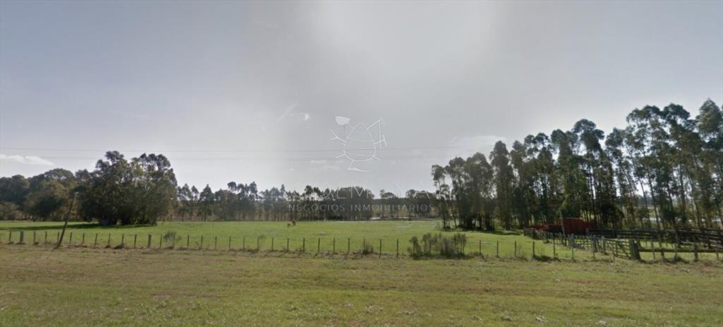 Campo excelente ubicacción, ideal plantar o