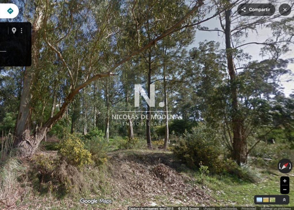 Vende terreno en muy linda zona, Punta del Este
