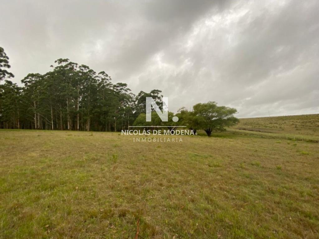 Campo en Ruta 104, 20 hectáreas