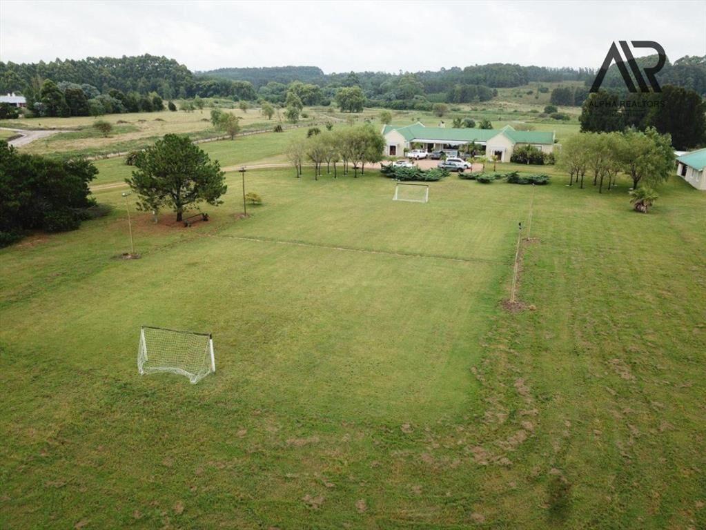 Chacra en venta de 5ha ubicado en Manantiales