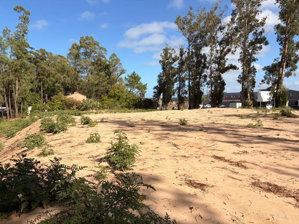 Terreno para desarrollo sobre Av. Leandro Gómez