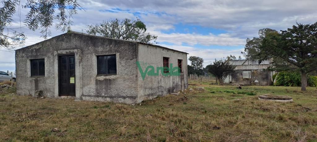 Venta de Chacra, Ruta 11, km.152, de 3,5 has. a