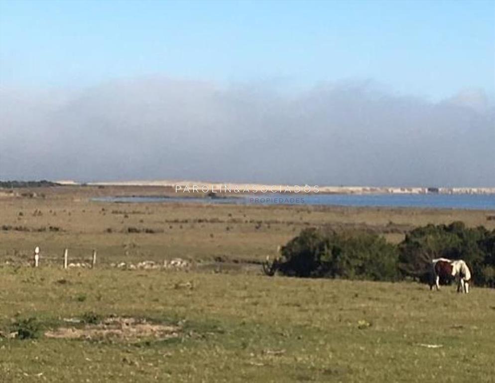 CHACRA EN JOSE IGNACIO