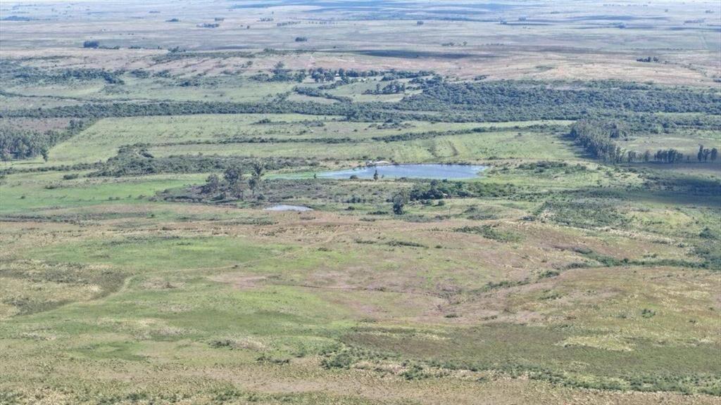 Campo Ganadero en Artigas