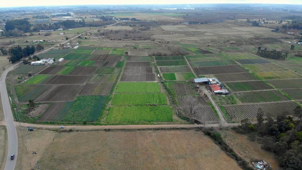 Venta campo de 7 Ha. en Camino Los Horneros
