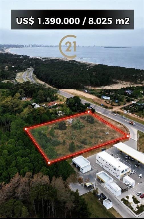 Punta Ballena sobre ruta /pegado estación  DISA /Lote 802...