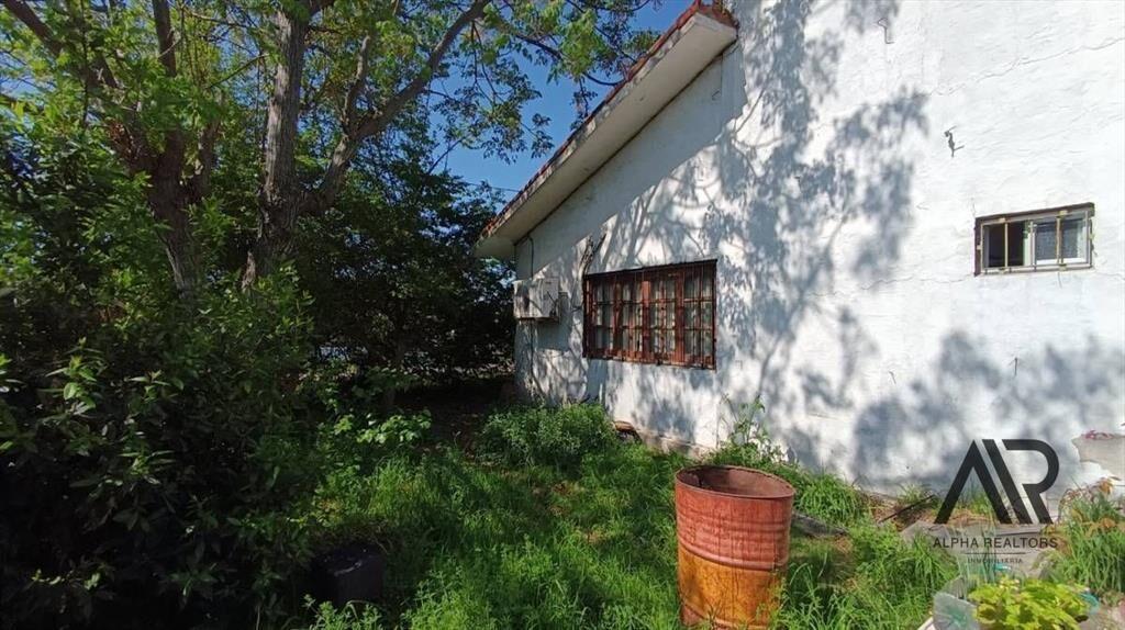 Casa En Venta Con 1000 M2 Totales En Carrasco Norte