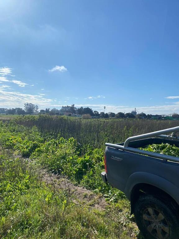 Venta Terreno fértil de 3 hectáreas con casa a reciclar en