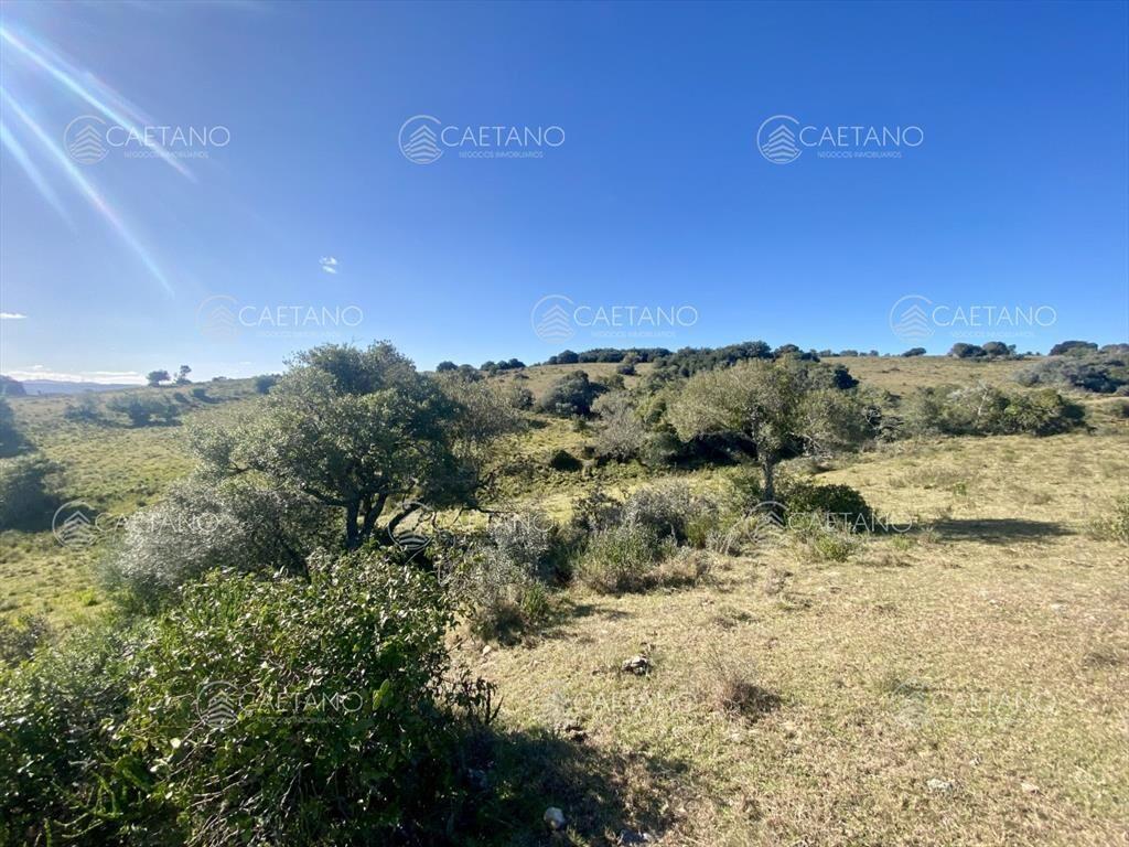 Venta chacra 5 hectáreas. Camino del Olivo,