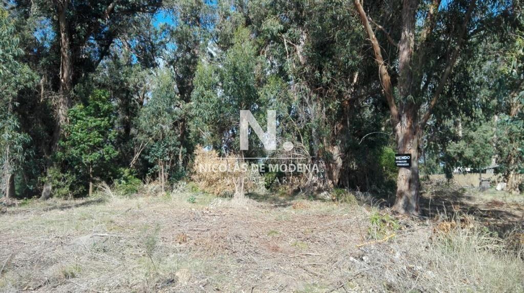 VENTA TERRENO EN SANTA MÓNICA