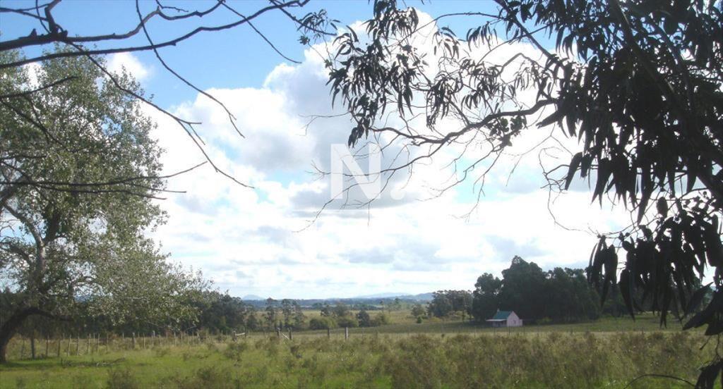 En venta enorme terreno en Barrio Camino