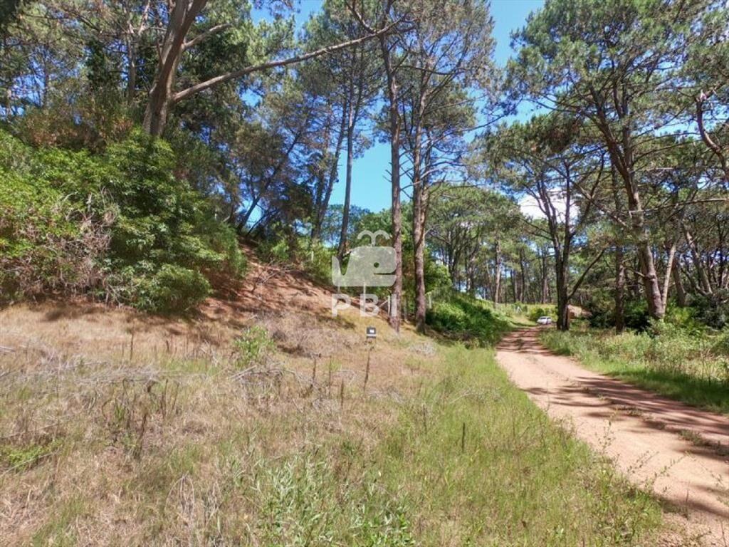 Terreno en venta Club Del Lago - Ref : PBI1367