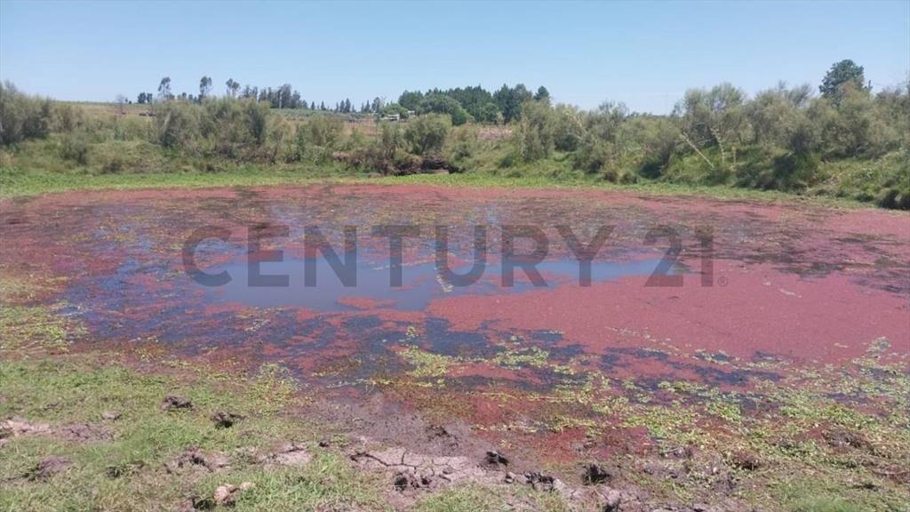 Campo Alambrado en San Jacinto, C/ Gran Tajamar, Zona alt...