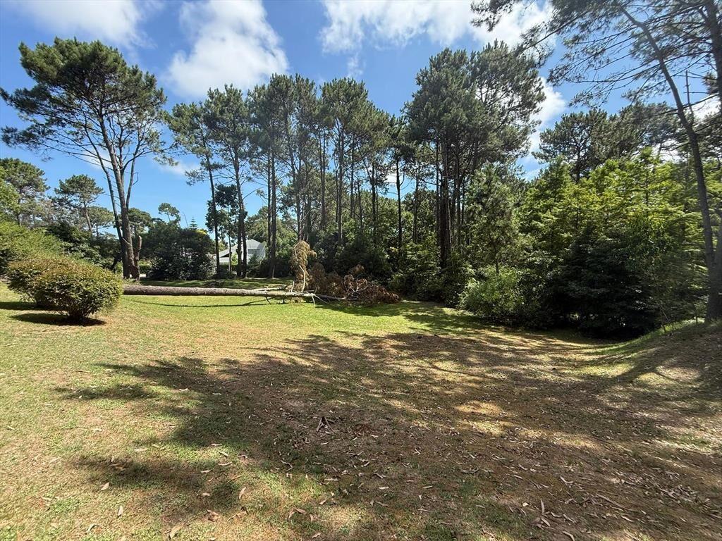 Terreno en Parque Burnett – 3076m²