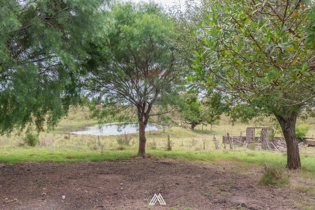 Venta de campo 12Ha. con casa en Ruta 80 Migues