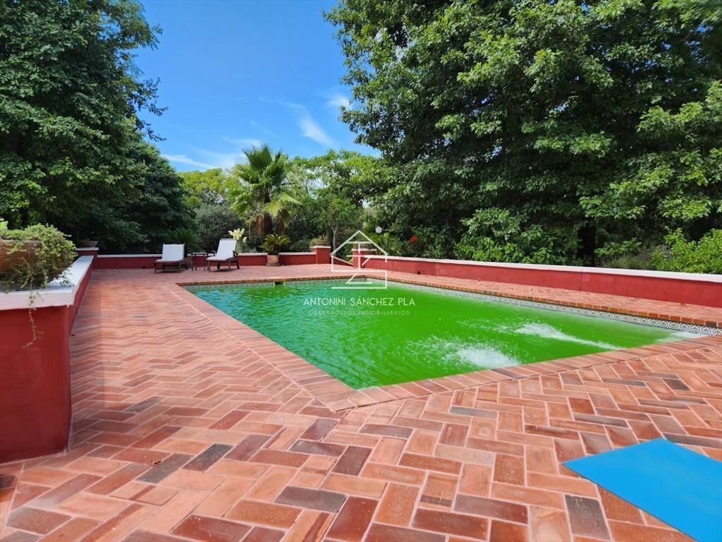 Venta chacra tipo quinta, Punta Ballena