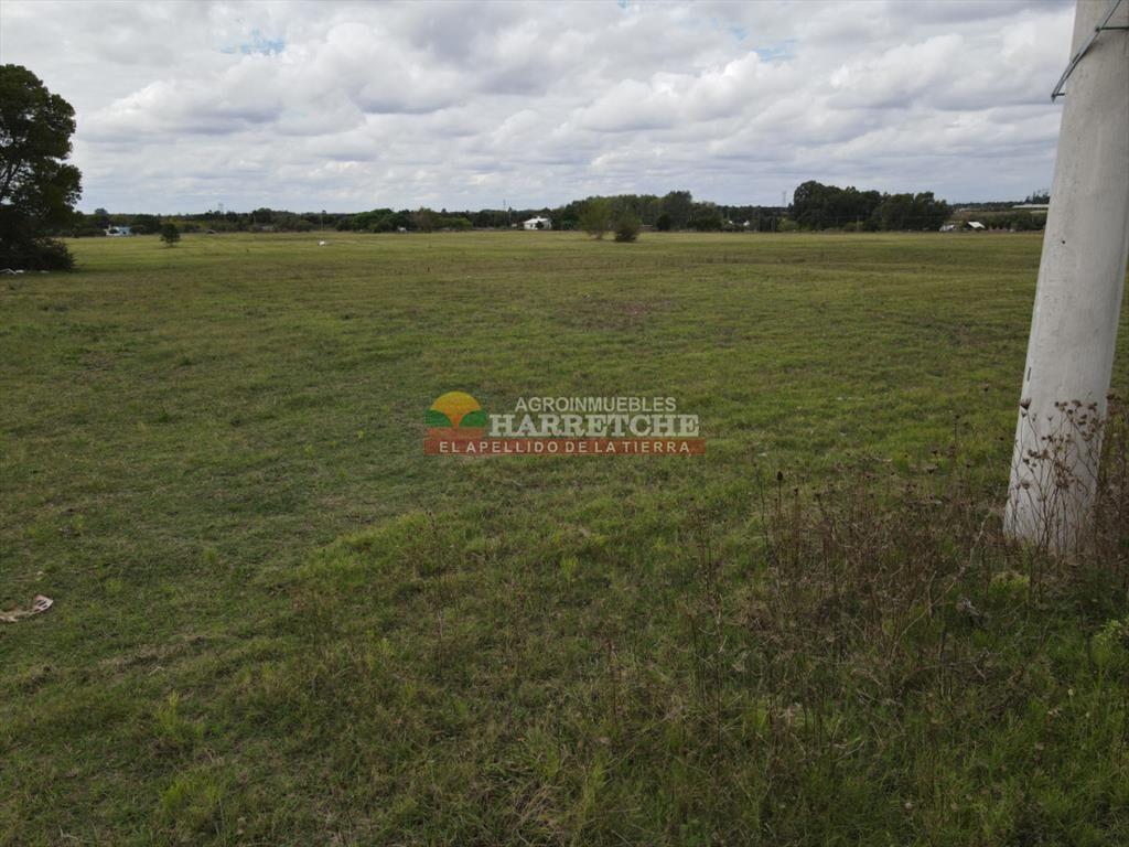 Terreno de 364 m2 en Progreso, Jardín de los (1)