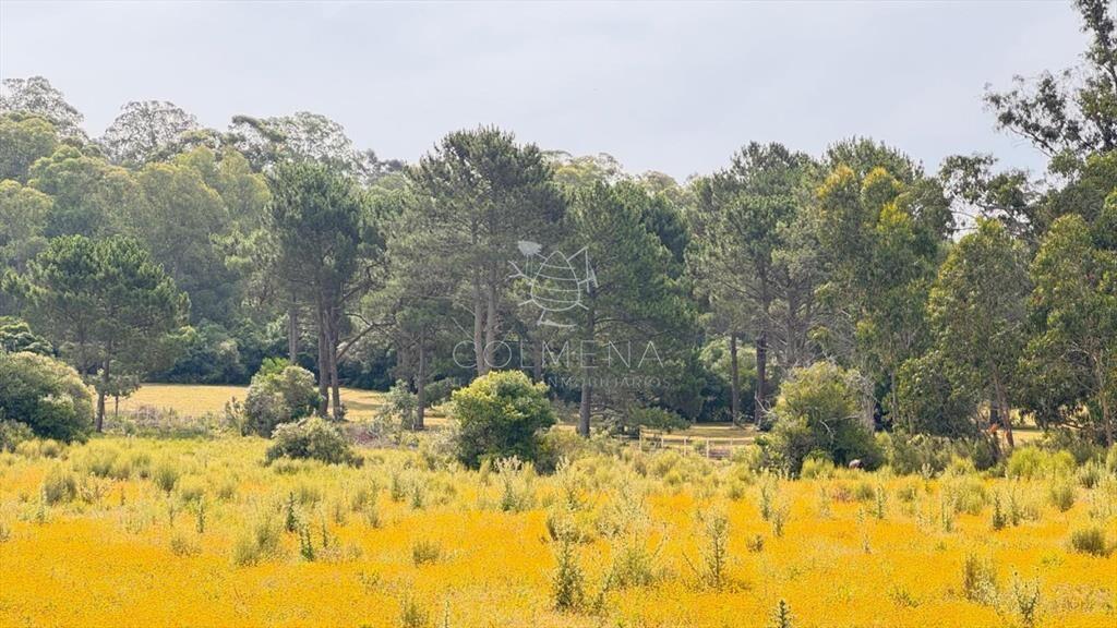 Campo de 5 has con 4658 m2 en La Pataia