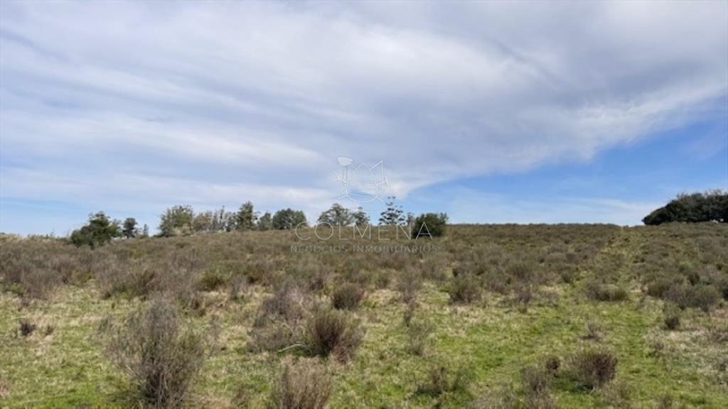 Campo 22 has con costa de arroyo ideal para