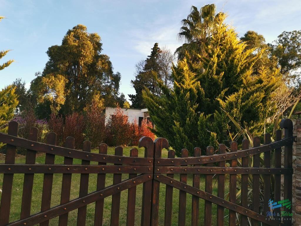 En venta chacra de 6 hectareas con casa a 1 hora