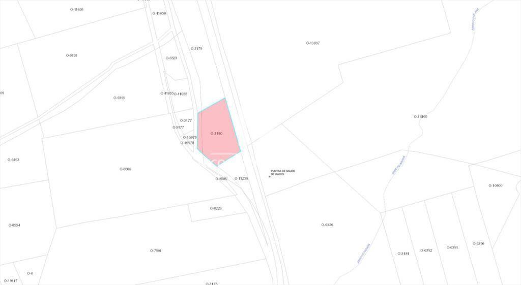 Campo de 10.5 Ha bien logistico en florida