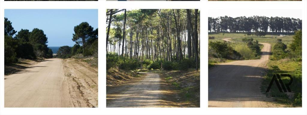 Terreno en venta de 1030m2 ubicado en José Ignacio