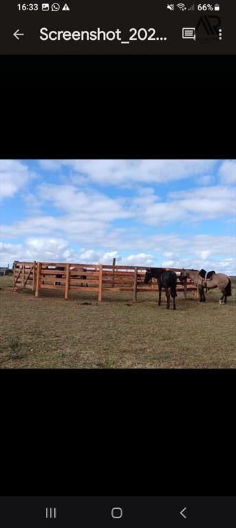Chacra en venta de 10ha ubicado en San Carlos