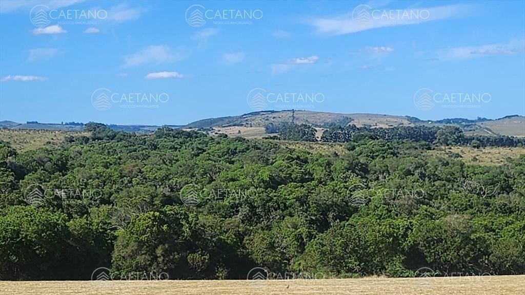 Campo 60 hs en Pueblo Edén Ruta 12