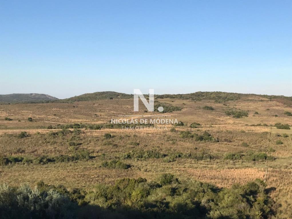 Campo ganadero en venta.