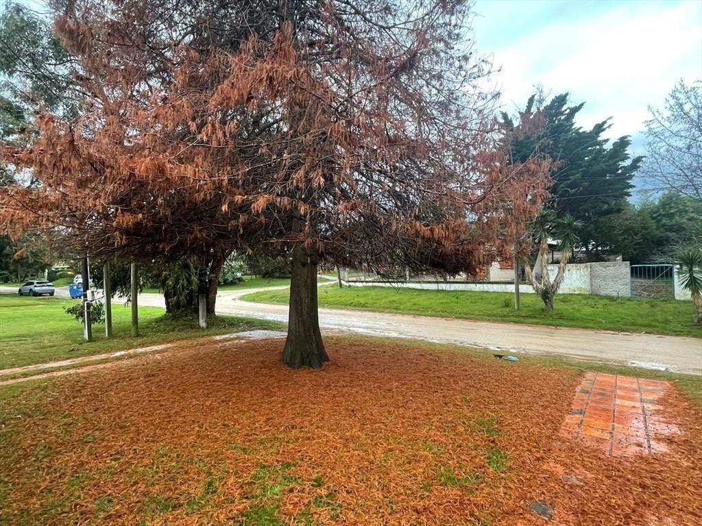 CASA EN VENTA CON RENTA ATLÁNTIDA