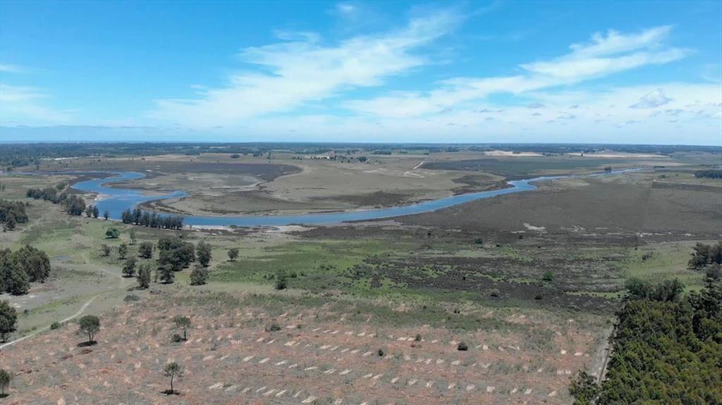 Venta de campo 76Has con costa