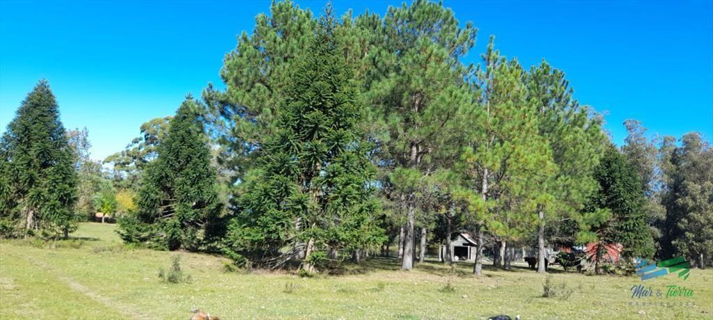 Buen campo agrícola, muy bien ubicado. 83 Has