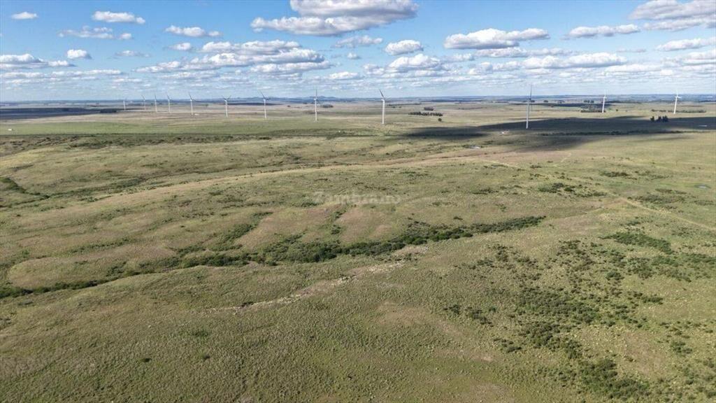 Campo Ganadero en Artigas