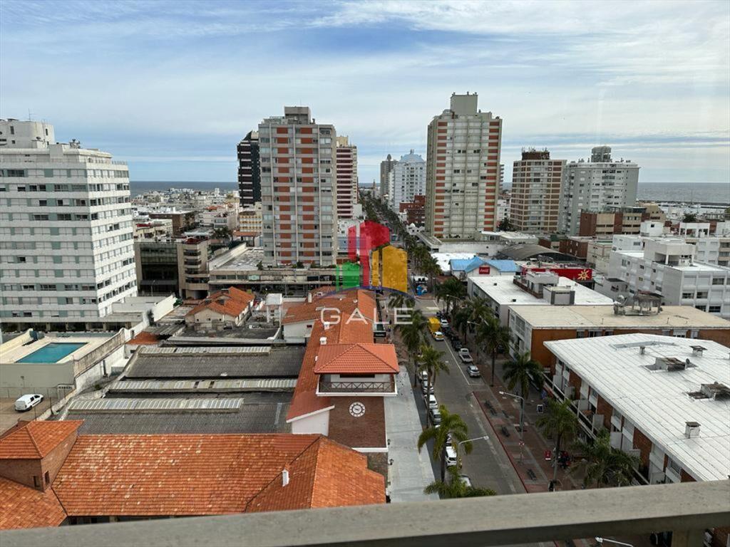Peninsula piso alto con excelente vista