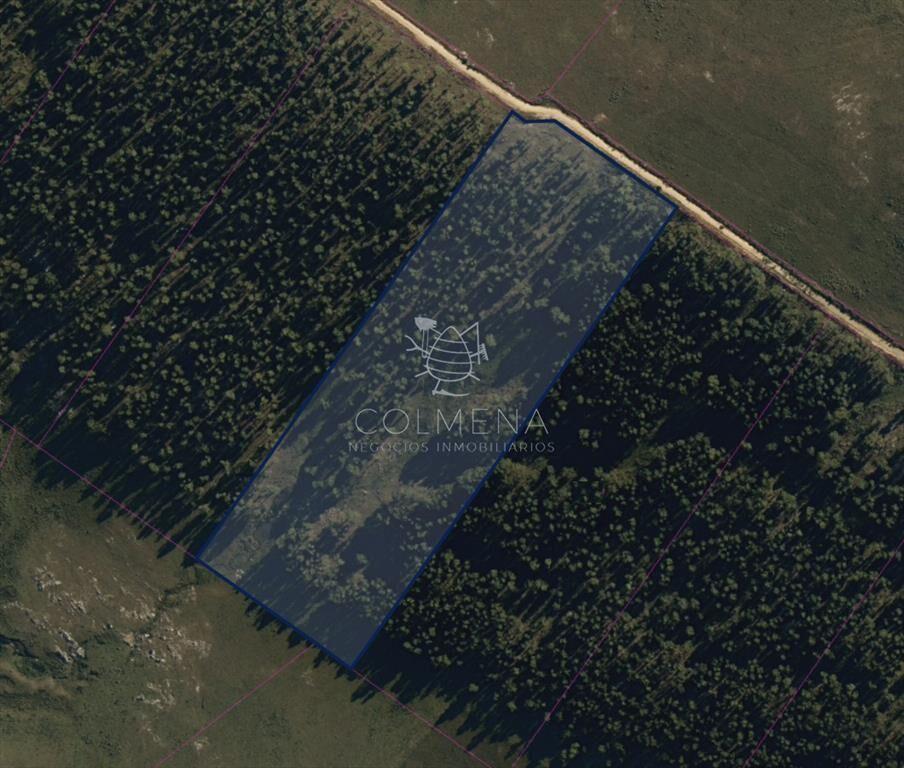 Campo 5 has en Partido Norte a 38 km de Punta del