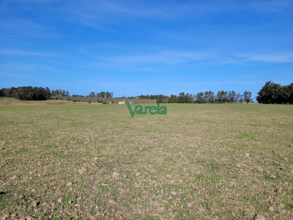 Venta de chacra en Atlantida
